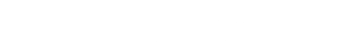 AnuVision logo